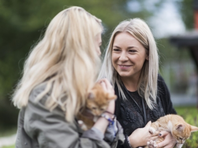 Ung og kontaktperson kæler med vores kattekillinger.