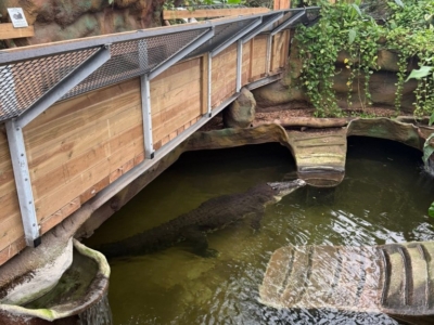 Tur i Krokodille Zoo