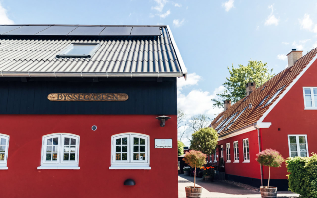 Indsatser og behandlingstilbud