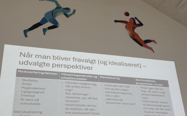 Uddannelsesdag om kontaktpersonens rolle